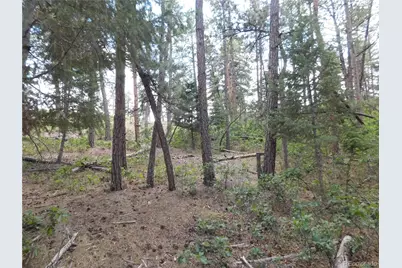 8169 Bannock Drive, Larkspur, CO 80118 - Photo 19