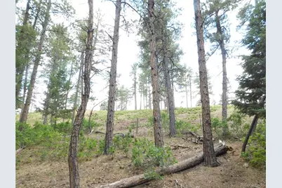 8169 Bannock Drive, Larkspur, CO 80118 - Photo 21