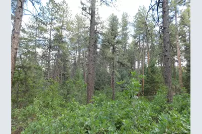8169 Bannock Drive, Larkspur, CO 80118 - Photo 15