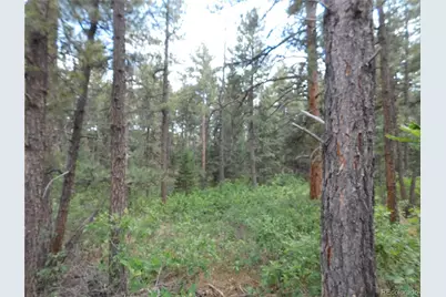 8169 Bannock Drive, Larkspur, CO 80118 - Photo 11