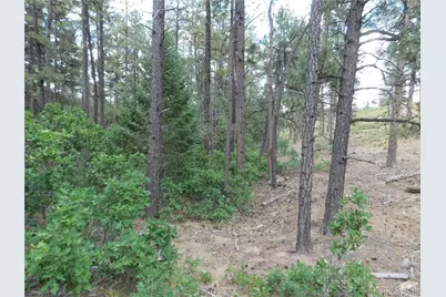 8169 Bannock Drive, Larkspur, CO 80118 - Photo 27