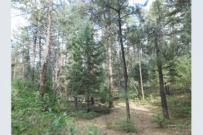 8169 Bannock Drive, Larkspur, CO 80118 - Photo 33