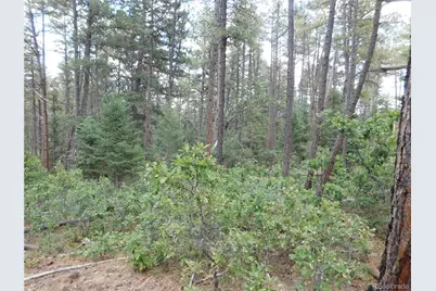 8169 Bannock Drive, Larkspur, CO 80118 - Photo 29