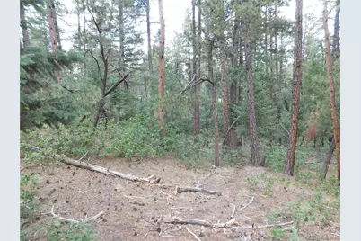 8169 Bannock Drive, Larkspur, CO 80118 - Photo 25