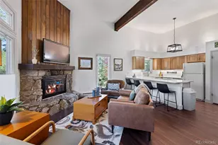 100 N Gold Flake Terrace, Breckenridge, CO 80424 - Photo 3