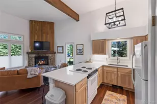 100 N Gold Flake Terrace, Breckenridge, CO 80424 - Photo 15