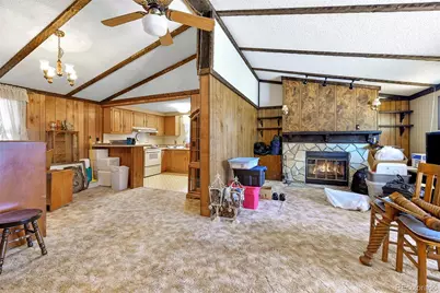 5155 Painted Rocks Road, Woodland Park, CO 80863 - Photo 35