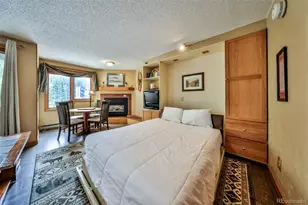 313 Iron Horse Way, Winter Park, CO 80482 - Photo 11