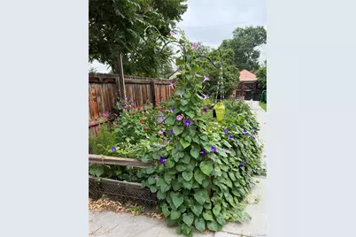 1258 Valentia Street, Denver, CO 80220 - Photo 19