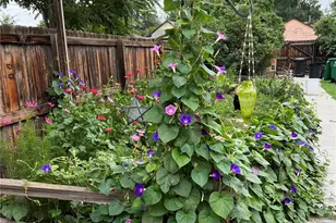 1258 Valentia St, Denver, CO 80220 - Photo 19