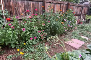 1258 Valentia St, Denver, CO 80220 - Photo 27