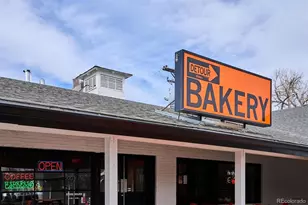 1603 S Elm St, Denver, CO 80222 - Photo 45