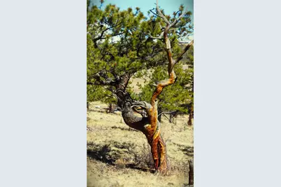 12451 Us-24, Hartsel, CO 80449 - Photo 5
