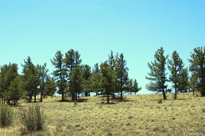12451 Us-24, Hartsel, CO 80449 - Photo 11