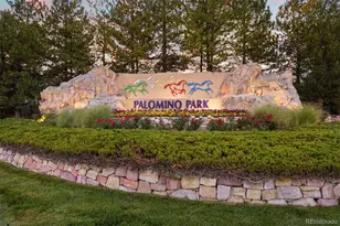 6442 Silver Mesa Dr, Highlands Ranch, CO 80130 - Photo 33