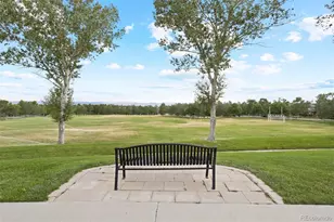 6442 Silver Mesa Dr, Highlands Ranch, CO 80130 - Photo 29