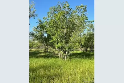 8523 Hygiene Road, Longmont, CO 80503 - Photo 17