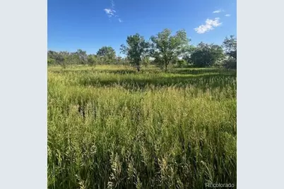 8523 Hygiene Road, Longmont, CO 80503 - Photo 7