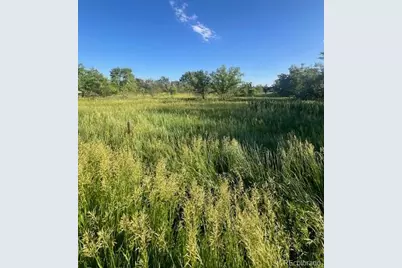 8523 Hygiene Road, Longmont, CO 80503 - Photo 3