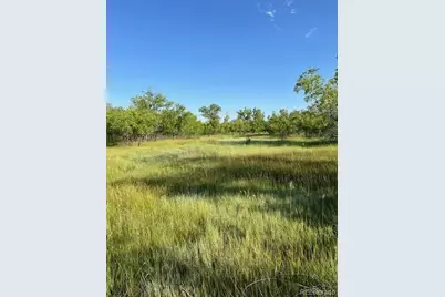 8523 Hygiene Road, Longmont, CO 80503 - Photo 11