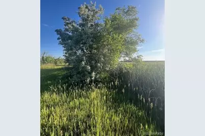 8523 Hygiene Road, Longmont, CO 80503 - Photo 9