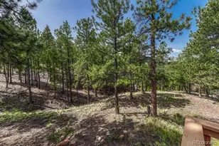 14694 Crooked Trail Rd, Woodland Park, CO 80863 - Photo 7