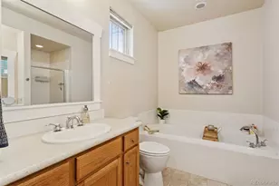 2882 Alton St, Denver, CO 80238 - Photo 17