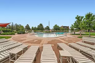 10414 Maplebrook Wy, Highlands Ranch, CO 80126 - Photo 41