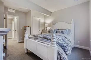 10414 Maplebrook Wy, Highlands Ranch, CO 80126 - Photo 29