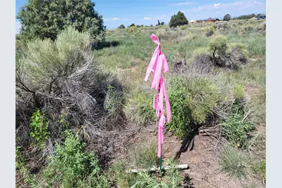 993 Pinon Road, Crestone, CO 81131 - Photo 15