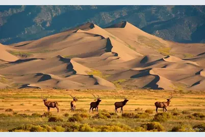 993 Pinon Road, Crestone, CO 81131 - Photo 39