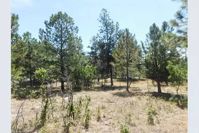 1392 Cameron Court, Larkspur, CO 80118 - Photo 9
