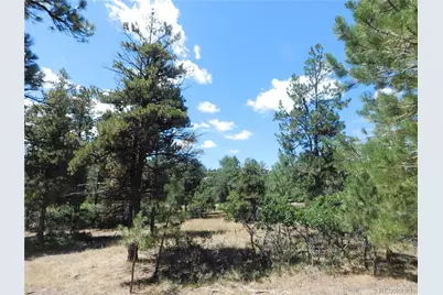 1392 Cameron Court, Larkspur, CO 80118 - Photo 29