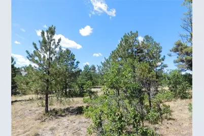 1392 Cameron Court, Larkspur, CO 80118 - Photo 7