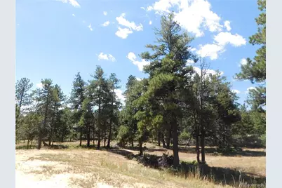 1392 Cameron Court, Larkspur, CO 80118 - Photo 31