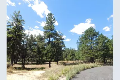 1392 Cameron Court, Larkspur, CO 80118 - Photo 33