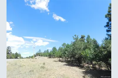 1392 Cameron Court, Larkspur, CO 80118 - Photo 17