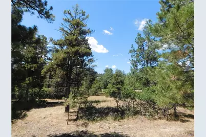 1392 Cameron Court, Larkspur, CO 80118 - Photo 3