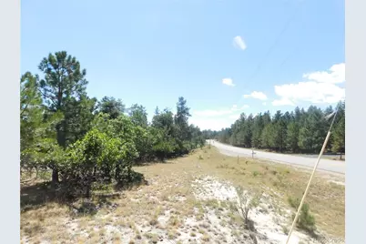 1392 Cameron Court, Larkspur, CO 80118 - Photo 11