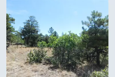 1392 Cameron Court, Larkspur, CO 80118 - Photo 13