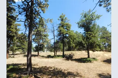 1392 Cameron Court, Larkspur, CO 80118 - Photo 21