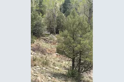 10795 County Road 197 A #282 & 283, Nathrop, CO 81236 - Photo 29