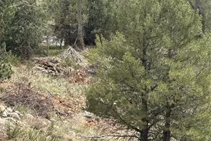 10795 County Road 197 A #282 & 283, Nathrop, CO 81236 - Photo 29