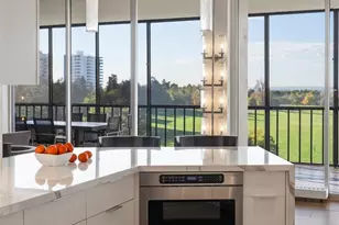 1201 N Williams St, Denver, CO 80218 - Photo 9