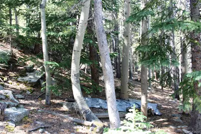 Lot 18 Hidden Wildernes Road, Idaho Springs, CO 80461 - Photo 9