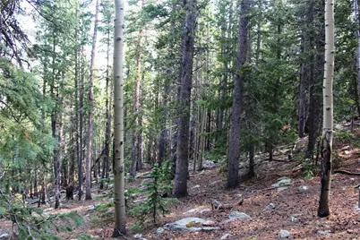 Lot 18 Hidden Wildernes Road, Idaho Springs, CO 80461 - Photo 7