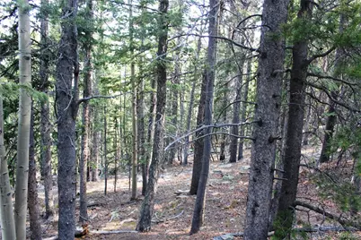 Lot 18 Hidden Wildernes Road, Idaho Springs, CO 80461 - Photo 5