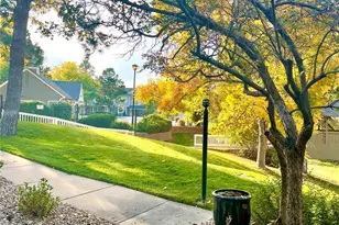 7047 E Briarwood Dr, Centennial, CO 80112 - Photo 39