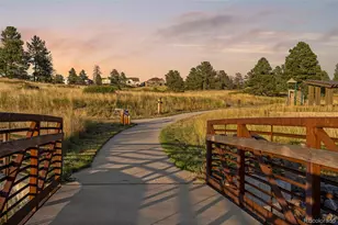 11582 Tyrolite Trl, Parker, CO 80138 - Photo 47