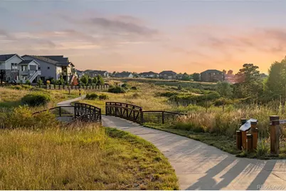 11582 Tyrolite Trail, Parker, CO 80138 - Photo 45